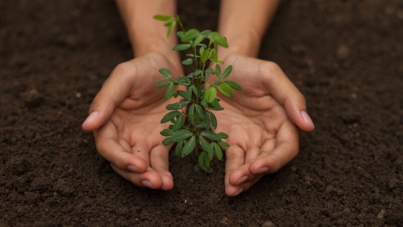 BTU Cottbus zeigt, wie Klimaschutz Innovation antreibt