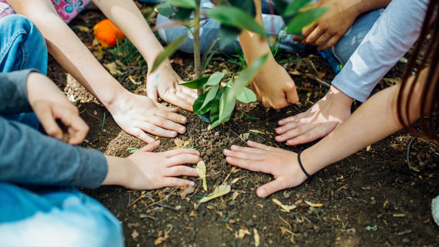 Eine Gruppe von Kindern pflanzt einen jungen Baum