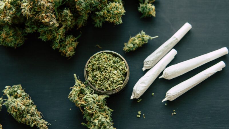 Cannabis in Brandenburg: Zwischen Hoffnung und Ernüchterung