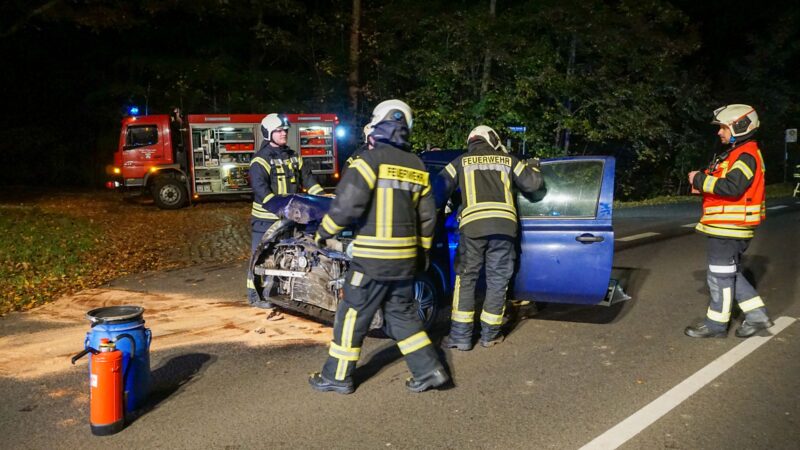 Wildunfall bei Döbern – eine Person verletzt