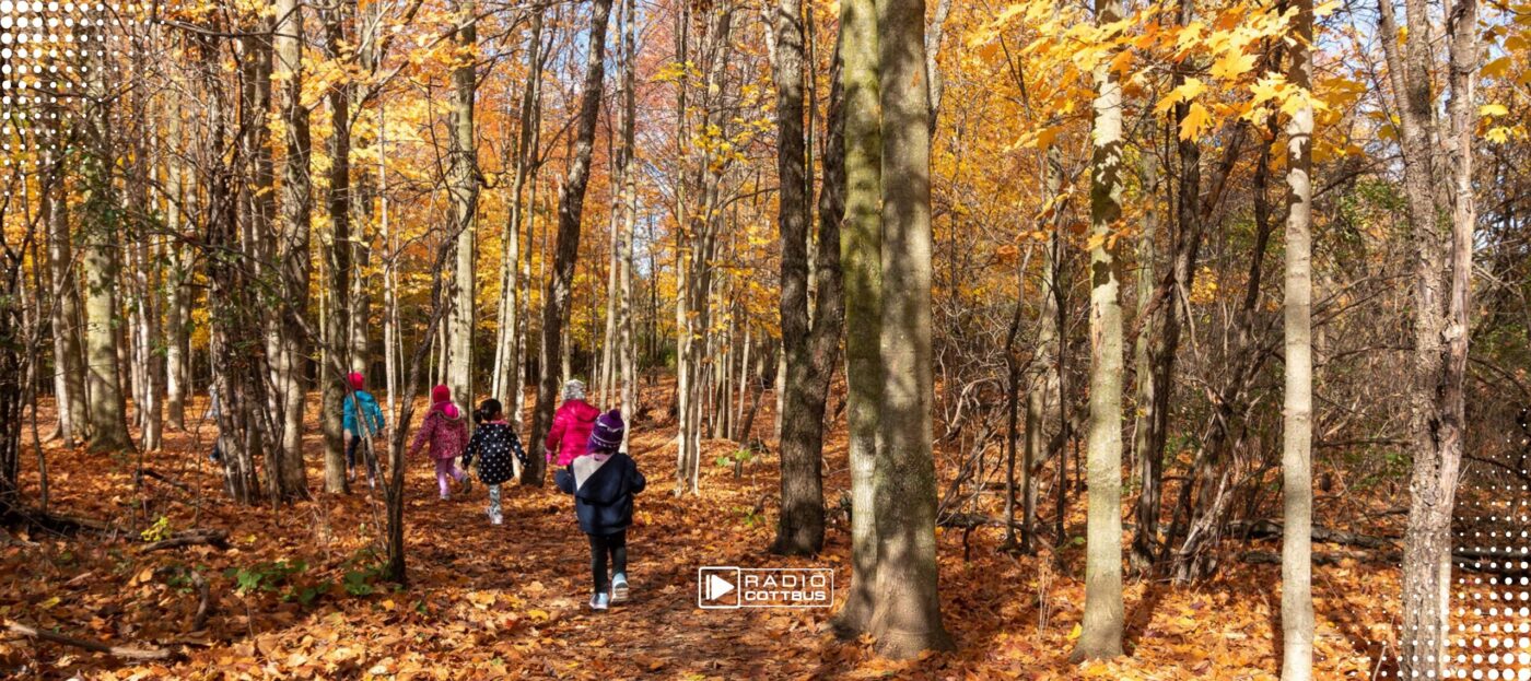 Eine Gruppe Kinder läuft durch den herbstlichen Wald