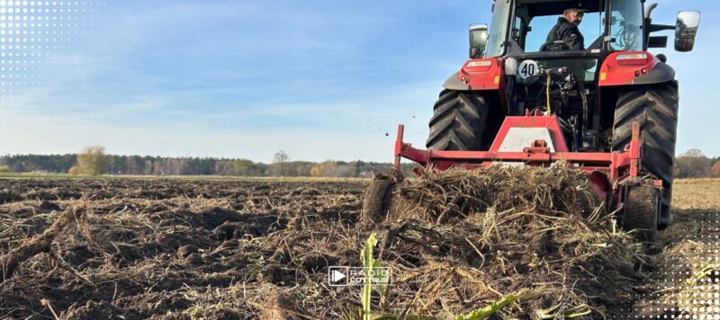 Erntebilanz Brandenburg 2026: Trockenheit, Hitze und hohe Kosten setzen Bauern unter Druck