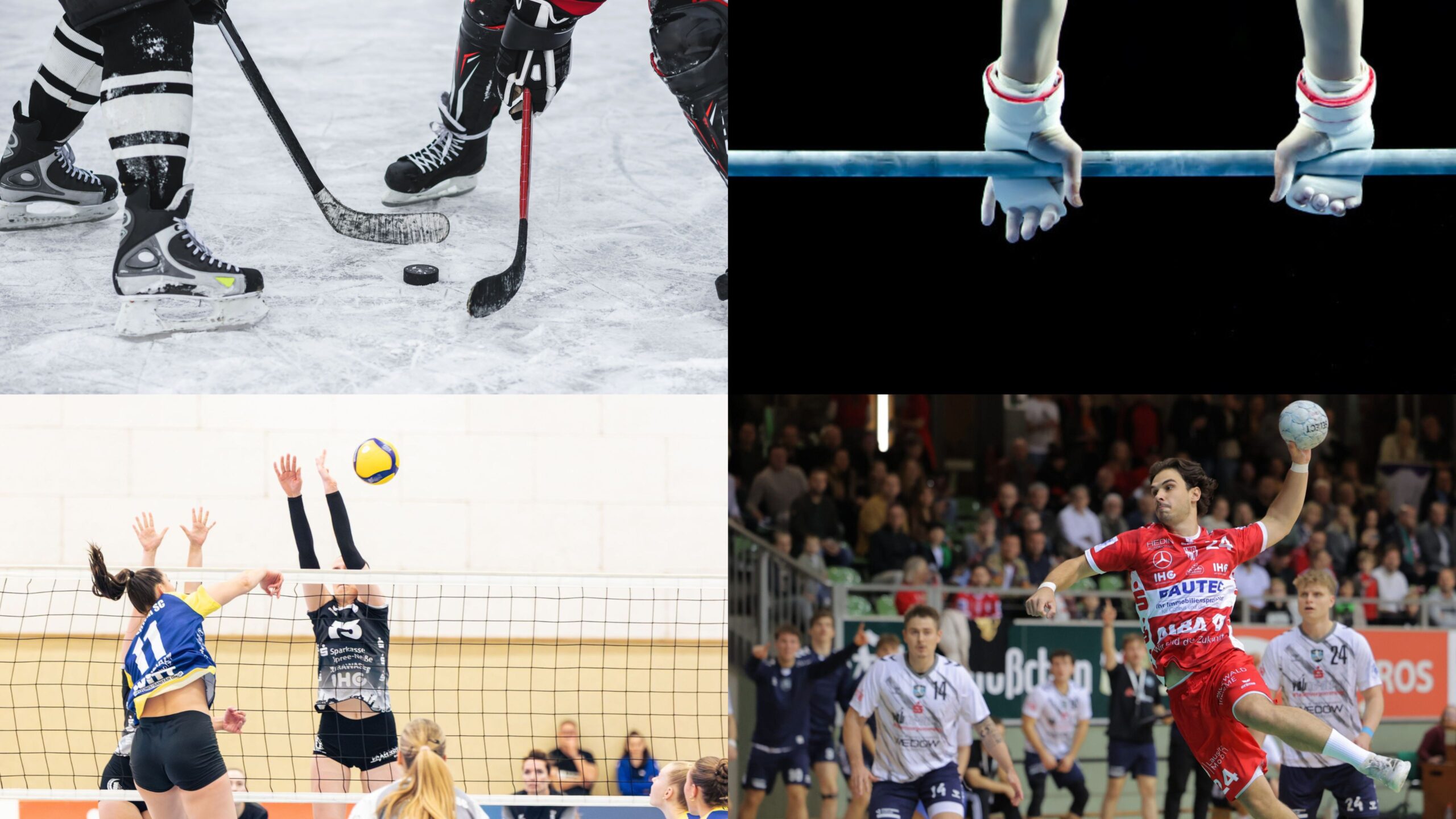 Das Bild ist in vier Kacheln eingeteilt: oben links sind zwei Eishockeyspieler mit Schlittschuhen und Schlägern zu sehen, oben rechts sind zwei Hände an einem Reck, unten links springen zwei Volleyballerinnen am Netz hoch und unten rechts wirft ein Handballer vom LHC Cottbus gerade den Ball