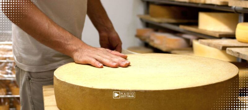 Bester deutscher Käse kommt aus der Lausitz – Gold für Gut Ogrosen