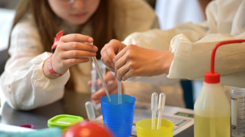 Neuer Schulversuch in Cottbus fördert junge MINT-Talente ab Klasse 5