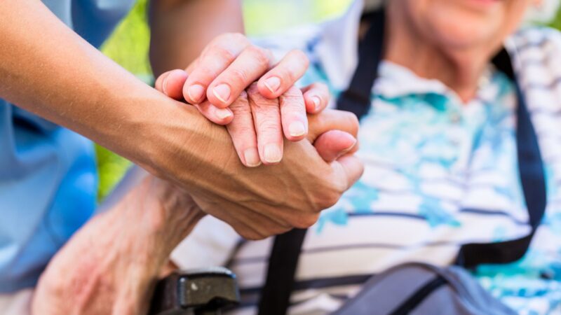 Hospizbegleiterinnen starten in Calau und Luckau – erstmals auch mit Begleithündin