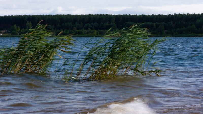 Rettungseinsatz am Geierswalder See: Kind gerettet – ein Mann wird vermisst