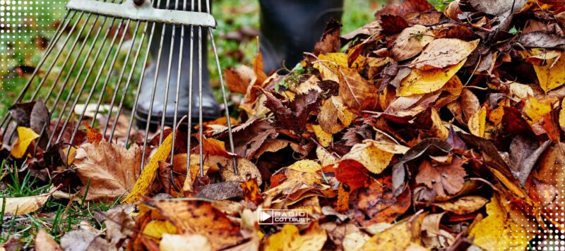 Herbstputz 2026: Cottbus ruft zum Mitmachen auf