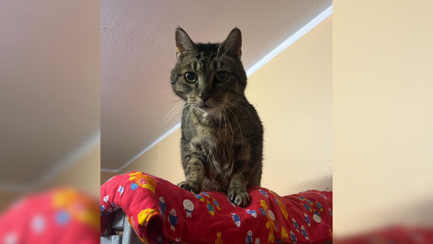 Tier der Woche - Pupsi