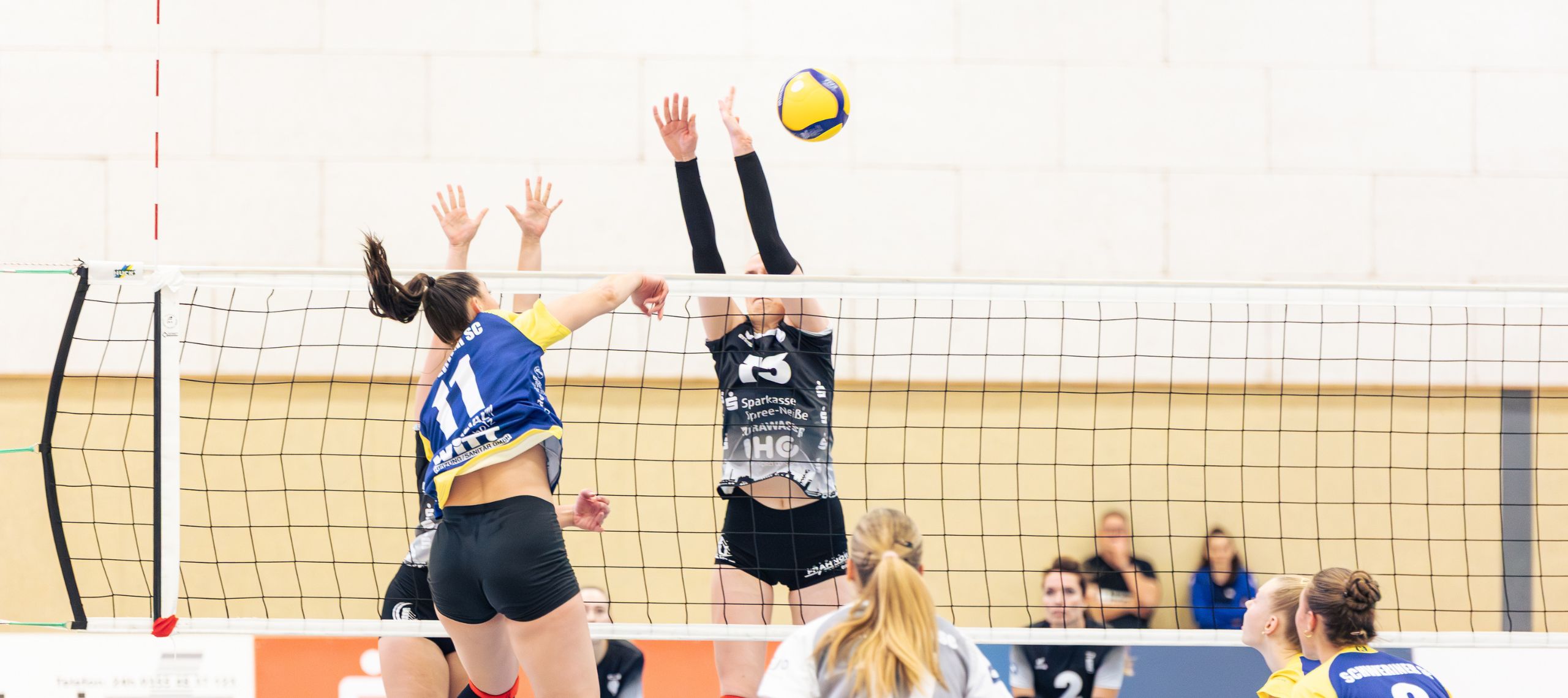 Die Volleyballerinnen vom SV Energie Cottbus in der 2. Bundesliga bei einer Blocksituation am Netz in ihrer Heimspielstätte in der Poznaner Straße