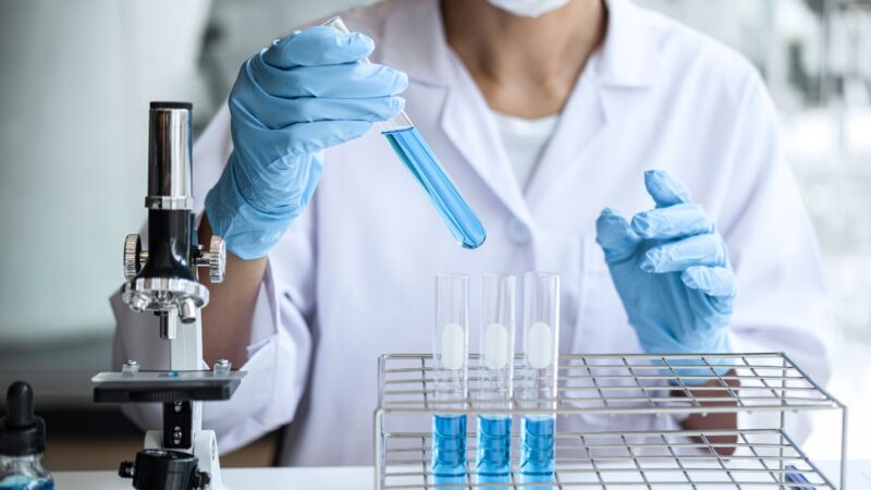 70.000 Euro für Wissenschaftspreise in Brandenburg