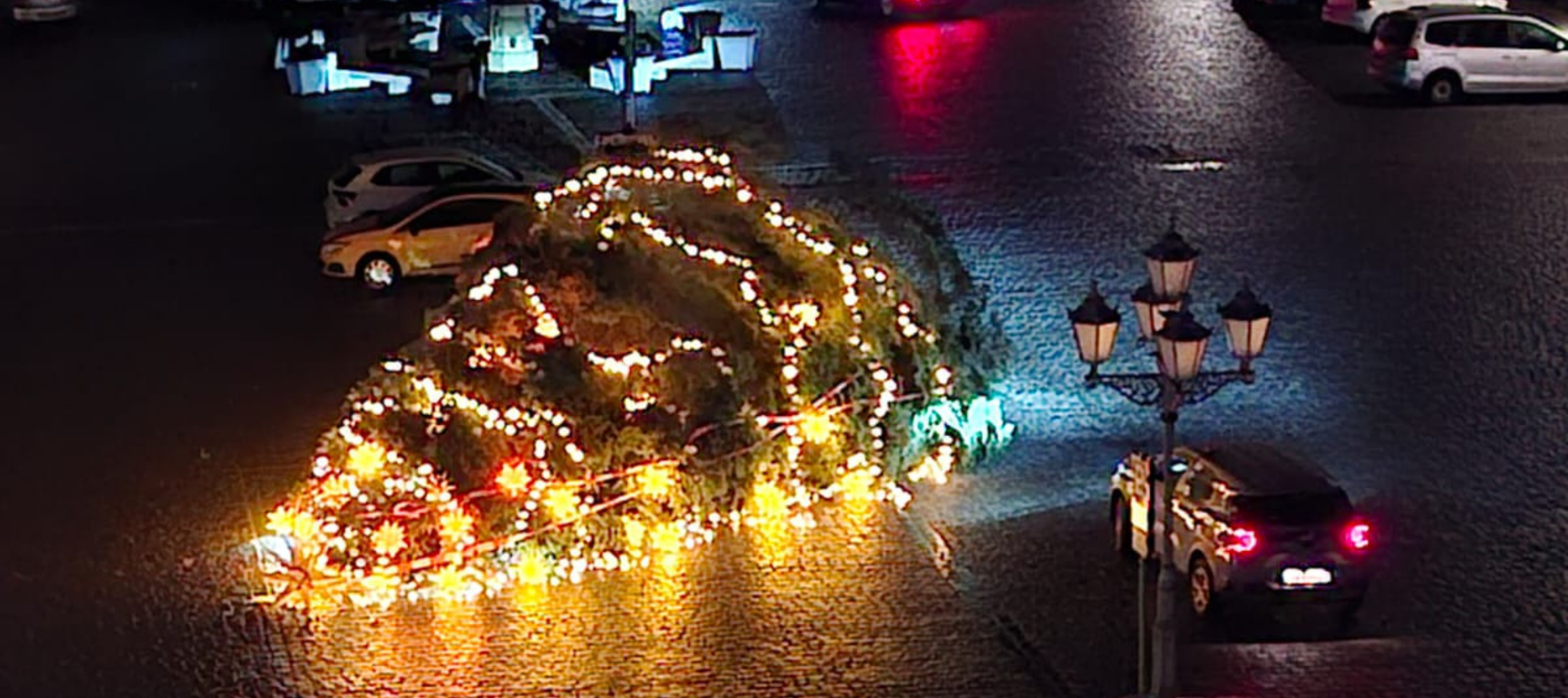 Der Weihnachtsbaum wurde von Unbekannten abgesägt und liegt auf dem Markplatz in Löbau