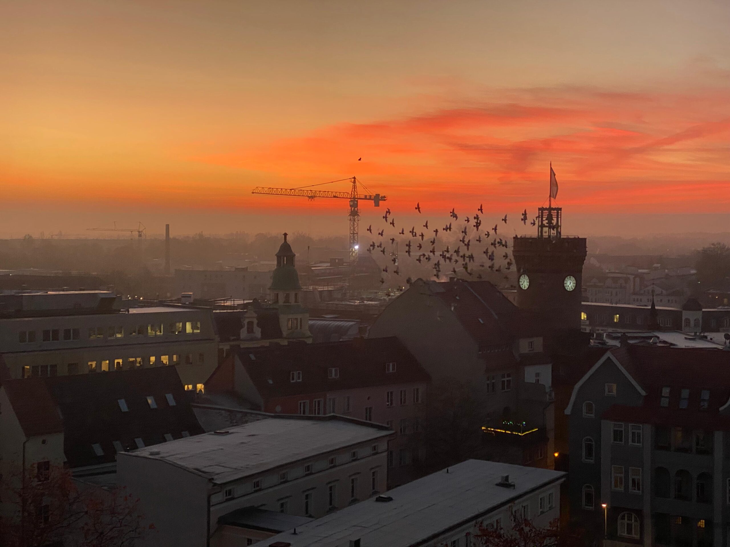 Die Sonne geht an einem Wintermorgen über den weiß gefrorenen Dächern