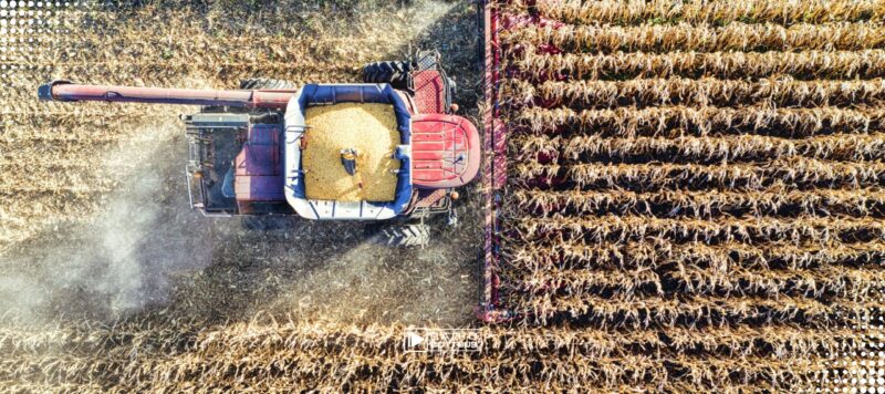 Landwirtschaft im Osten: Minister gehen gemeinsam in die Offensive