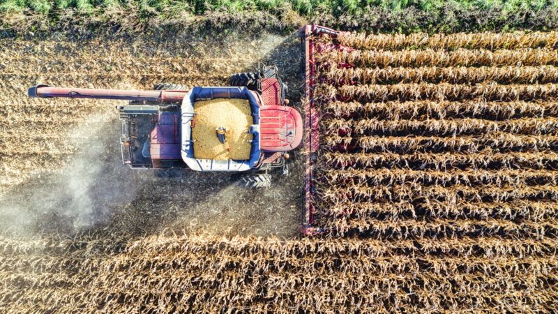 Landwirtschaft im Osten: Minister gehen gemeinsam in die Offensive