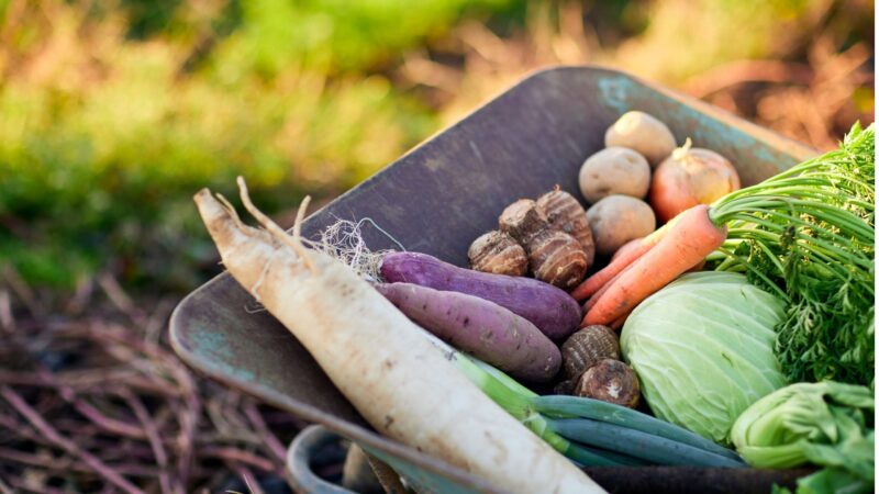 Brandenburg-Tag zeigt Stärke auf der Grünen Woche