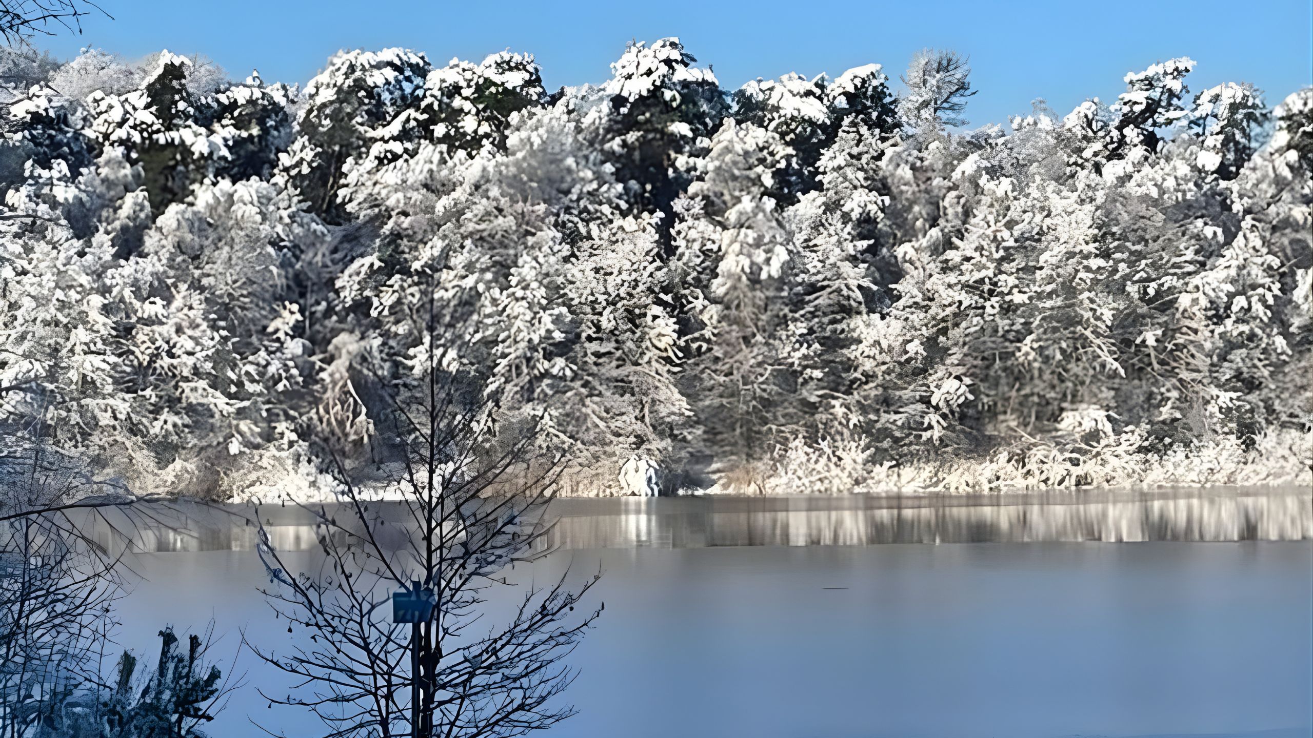 Winterfoto vom Ostufer am Deulowitzer See