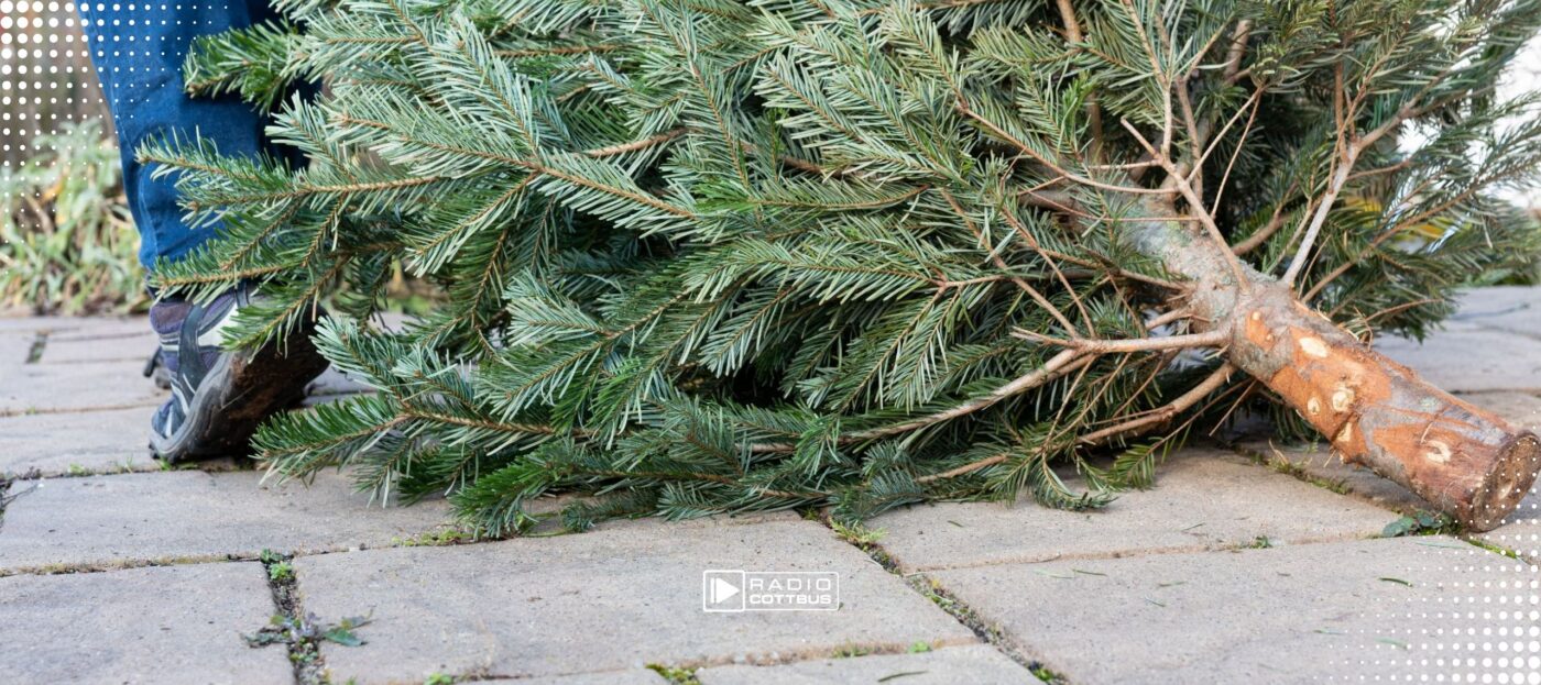 Weihnachtsbaum der geworfen werden kann
