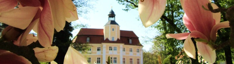 Chris Mielchen ist jetzt neuer Vetschauer Bürgermeister