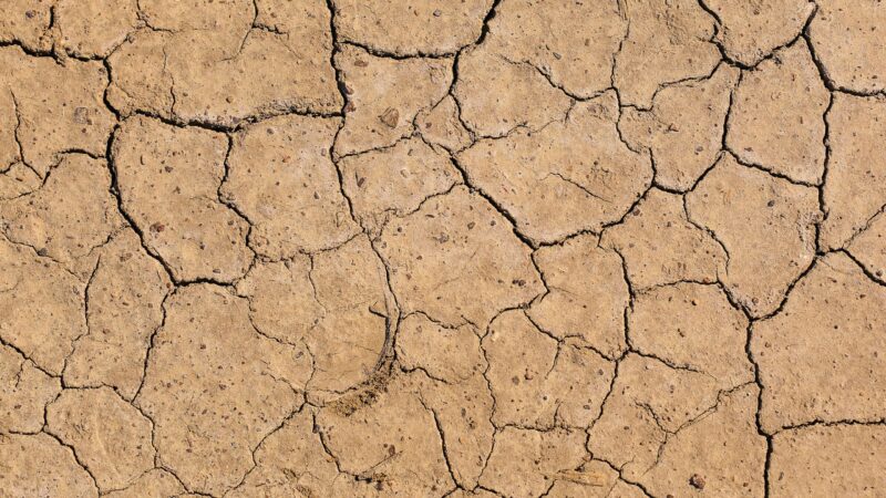 Extreme Boden-Trockenheit in Brandenburg trotz Winterwetter