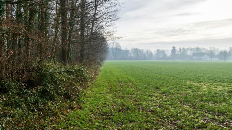 ASP Restriktionszonen aufgehoben: OSL jetzt vollständig frei