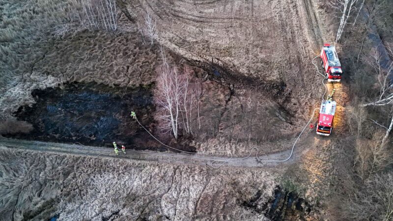 Brand auf den Sachsendorfer Wiesen in Cottbus: Zwei verletzt