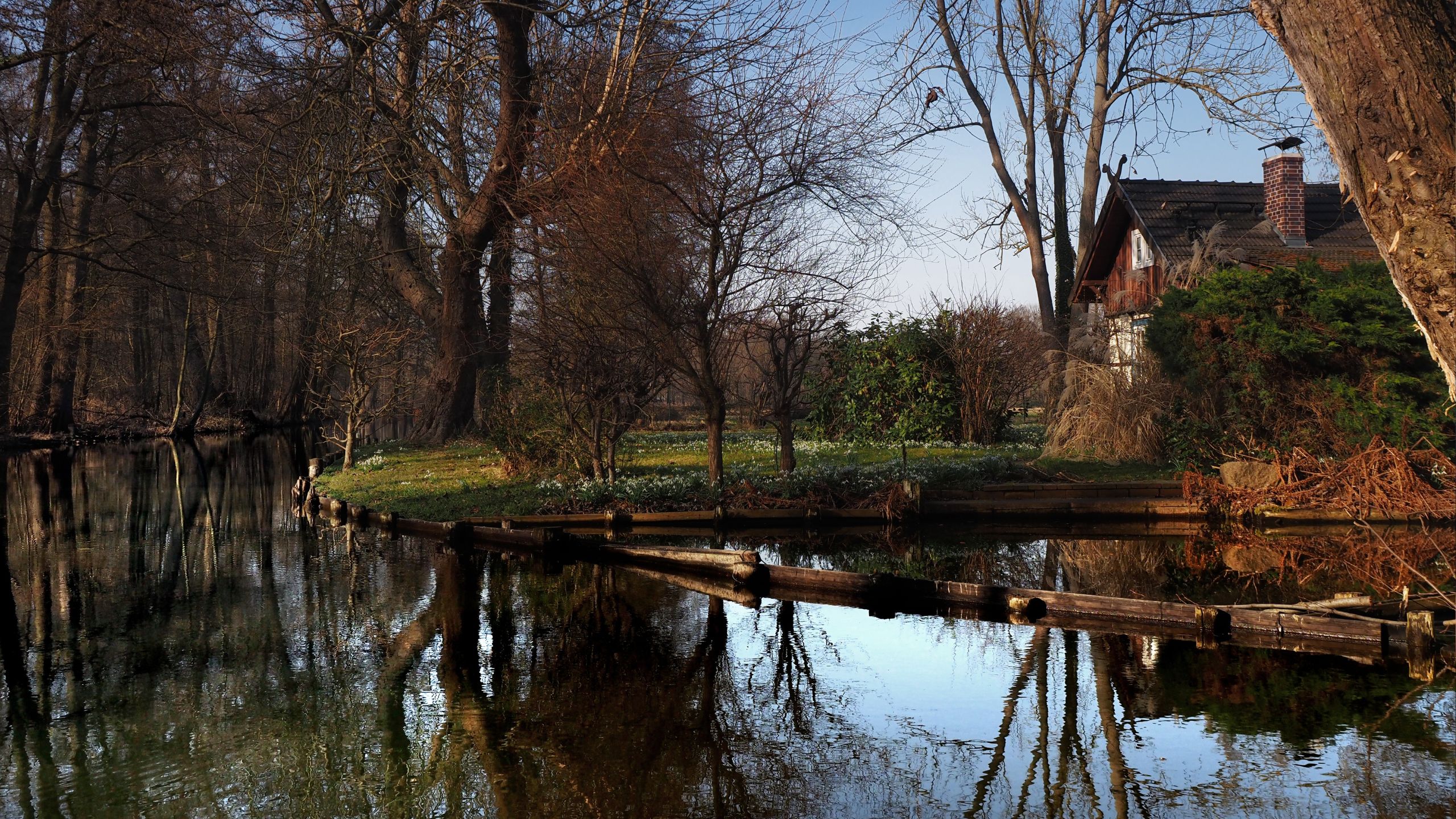 Spreewald im Frühling