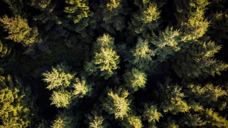 Teens vs. Wild: Jugendliche aus OSL kämpfen sich durch die Wildnis