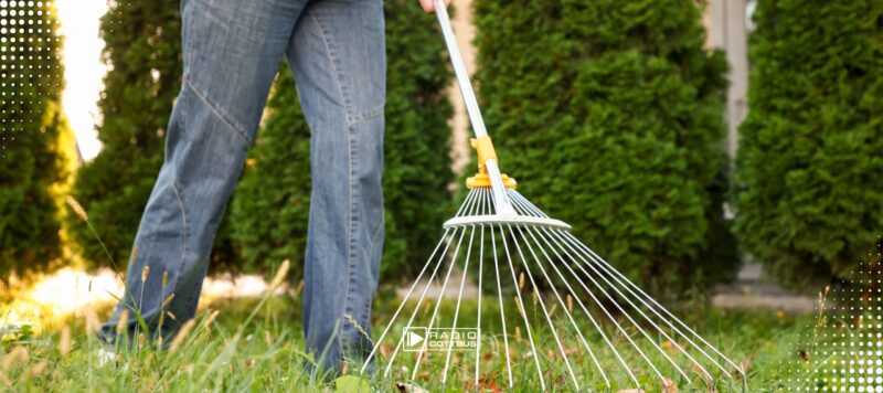 Frühjahrsputz Großräschen: Stadt ruft zum gemeinsamen Anpacken auf