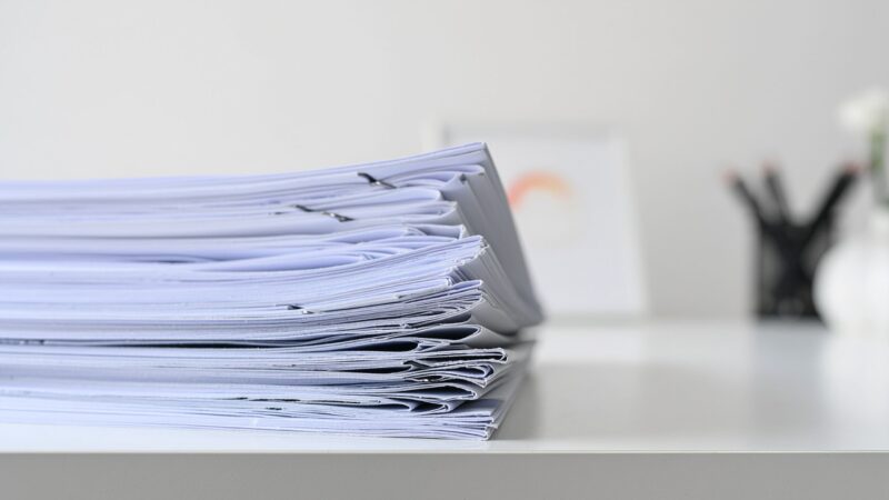 Anzahl der Einbürgerungen in Brandenburg gestiegen