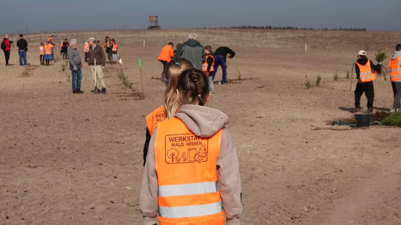 Welzower Kinder pflanzen neuen Wald im Tagebaugebiet