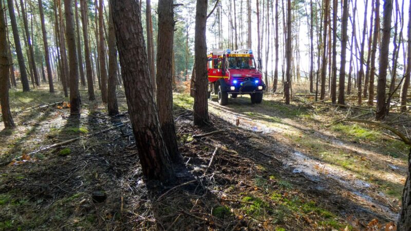 Waldbrand in Sorno bei Finsterwalde