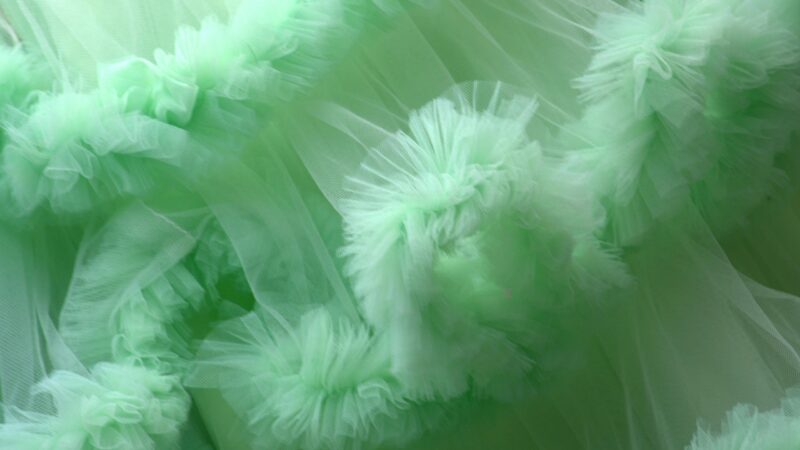 Forster Männerballett holt Silber bei Ostdeutscher Meisterschaft