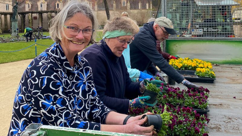 Branitzer Frühling startet mit 4.600 Blumen