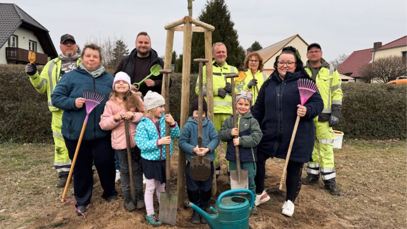 Kastanienallee: große Pflanzaktion in Lübben