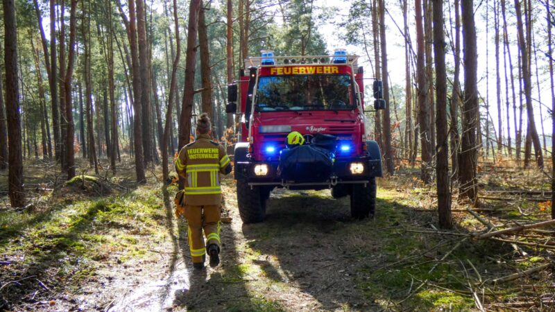 Bild der Brandstelle vom Waldbrand in Sorno bei Finsterwalde am 07.03.26
