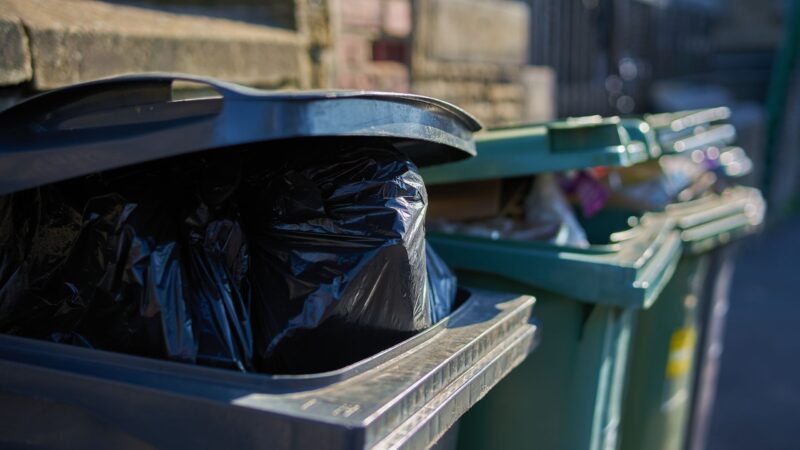 Warnstreik bei ALBA: Müllabfuhr in Cottbus betroffen
