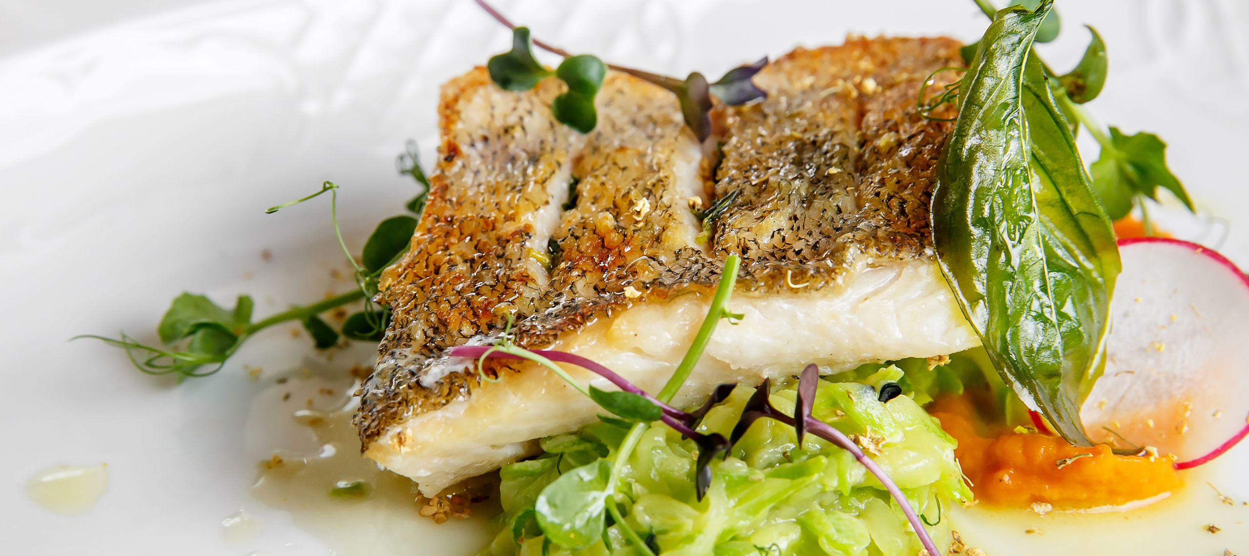 Zander in Weißweinsoße angerichtet auf einem weißen Teller mit Wurzelgemüse