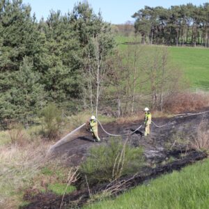 Böschungsbrand auf der A15 bei Krieschow: Feuerwehr verhindert Ausbreitung