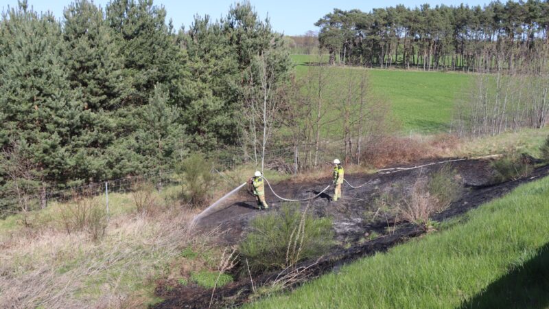 Böschungsbrand auf der A15 bei Krieschow