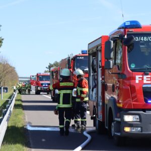 Böschungsbrand auf der A15 bei Krieschow: Feuerwehr verhindert Ausbreitung