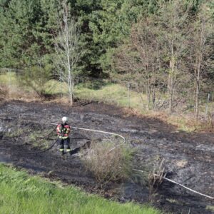 Böschungsbrand auf der A15 bei Krieschow: Feuerwehr verhindert Ausbreitung