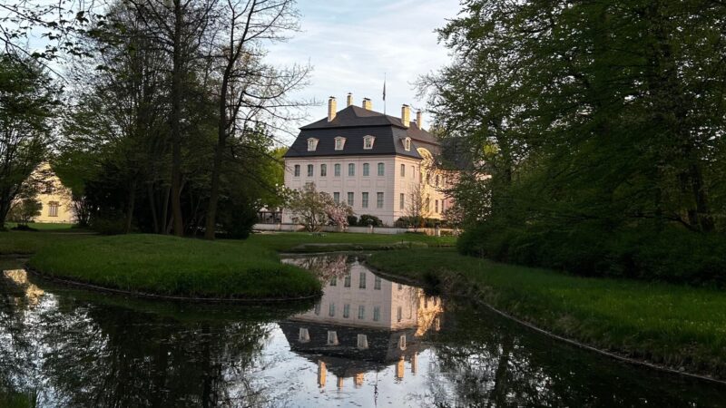 Stefan Körner verlässt Branitz und wechselt nach Dessau-Wörlitz