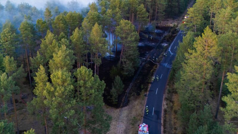 Flammen im Kiefernwald: Großeinsatz bei Waldbrand im Amt Döbern