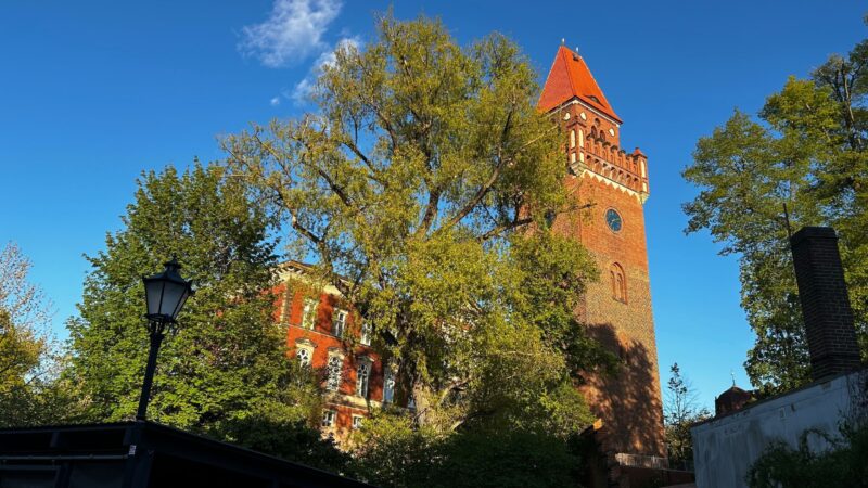 Schutzgelderpressung in Cottbus: Jetzt sitzen alle Angeklagten in U-Haft