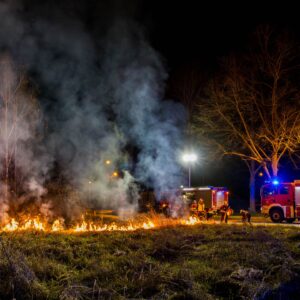 Feuerwehr löscht einen Vegetationsbrand in der Richard-Wagner-Straße in Forst