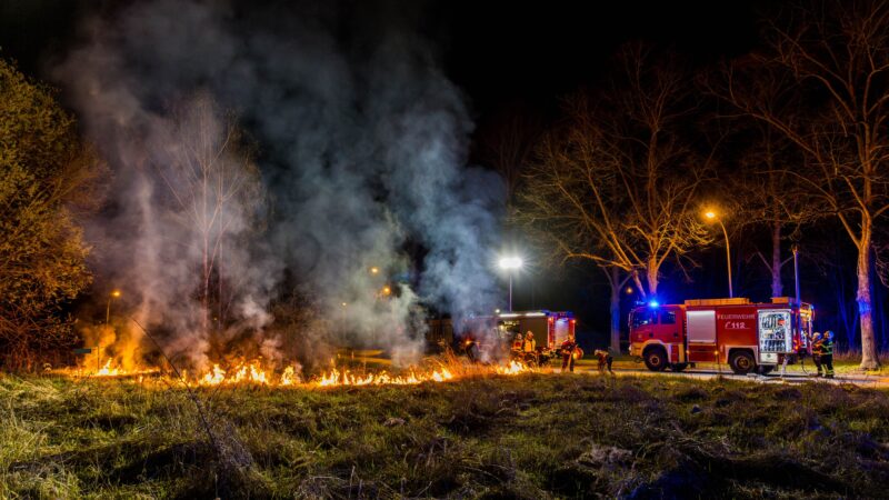 Feuer trotz Regen: Vegetationsbrand in Forst