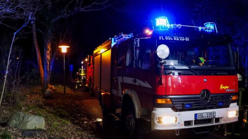 Waldbrand in Senftenberg: Verdacht auf Brandstiftung