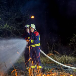 Feuerwehr löscht einen Vegetationsbrand in der Richard-Wagner-Straße in Forst