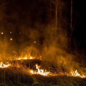 Feuerwehr löscht einen Vegetationsbrand in der Richard-Wagner-Straße in Forst